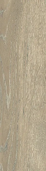 Напольная Dream Wood Керамогранит DW02 8мм Неполированный 14.6x60